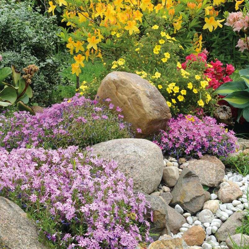Establish Rock Gardens