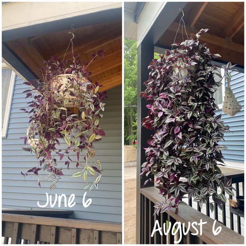 Renewal Results: The Transformation Payoff