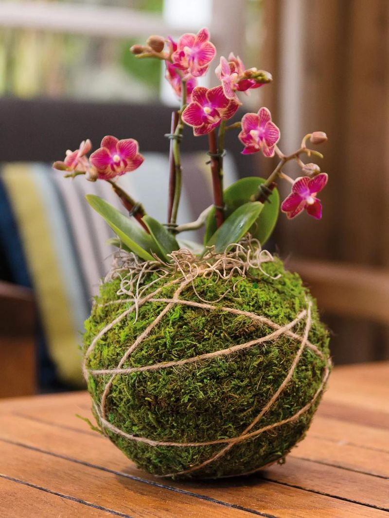 Kokedama String Garden