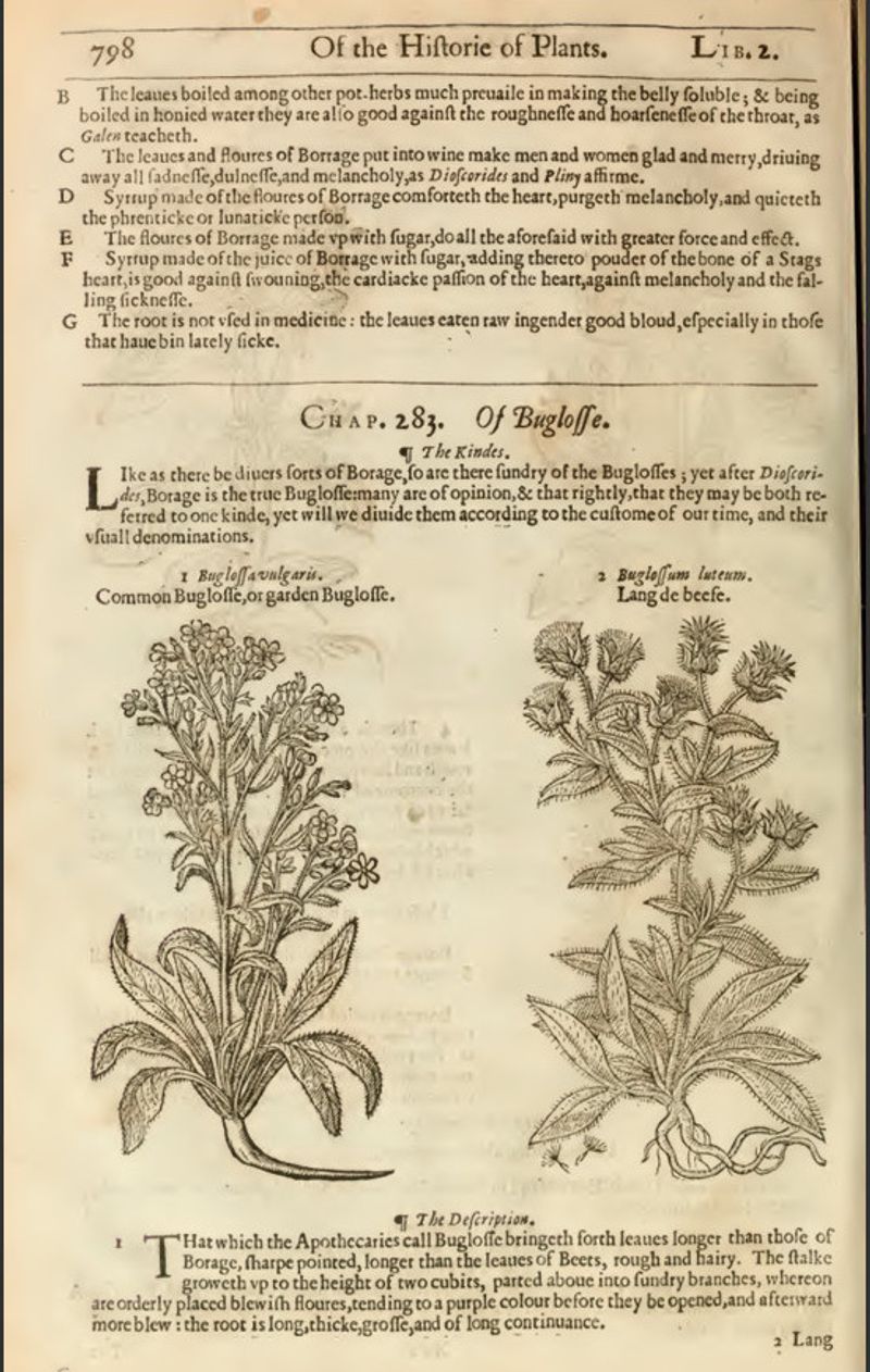 Historical Use in Potions