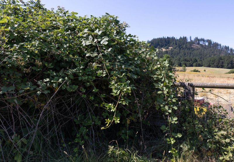 Fire Hazard Multiplication