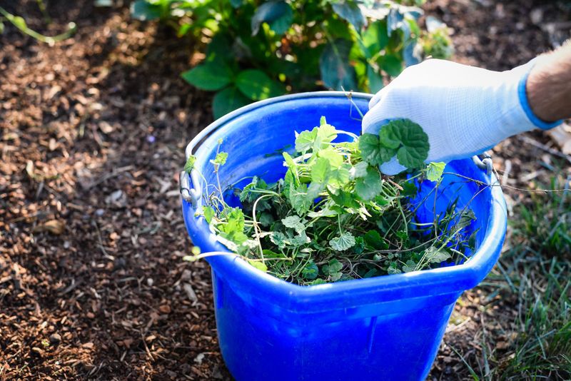 Barrier Installation