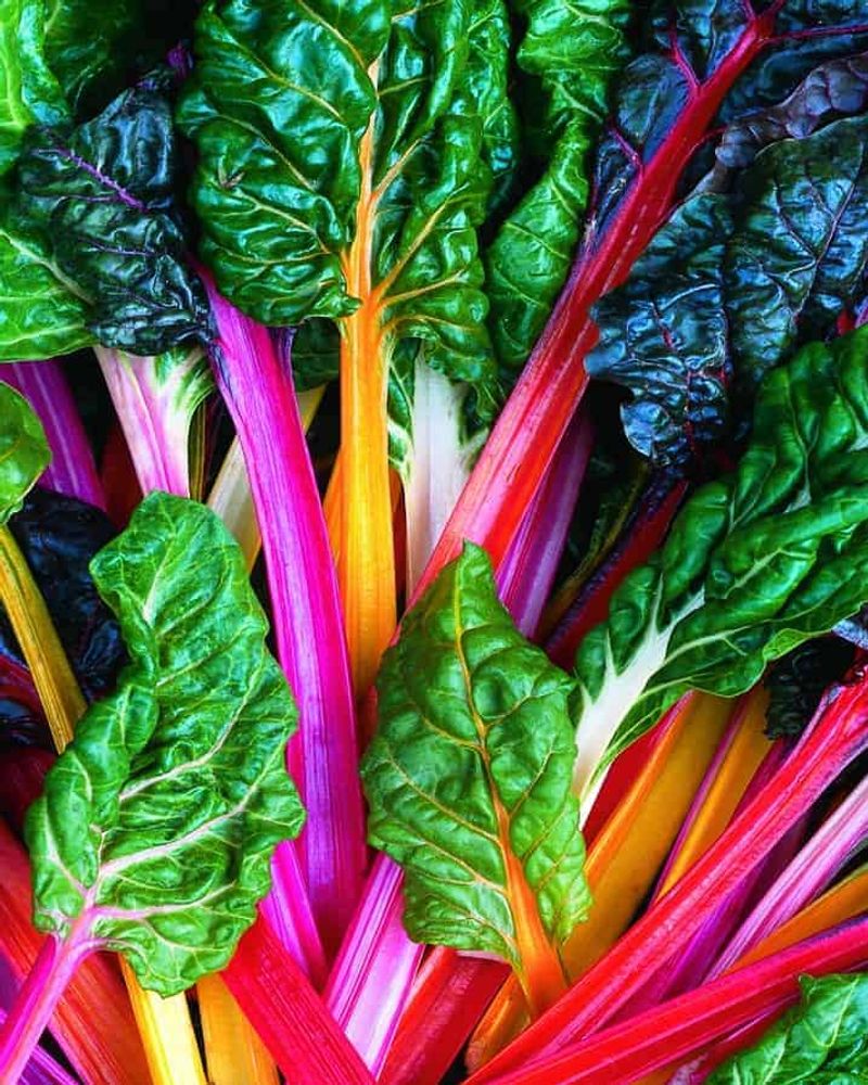 Rainbow Chard
