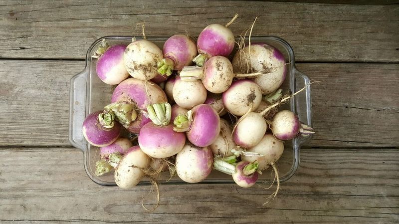 Turnips