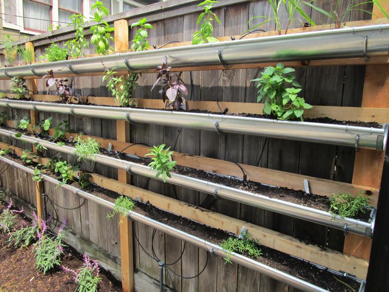 Gutter Garden