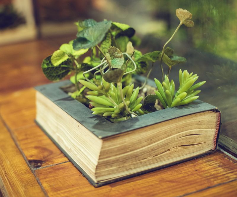 Book Planter (Hollowed-Out)