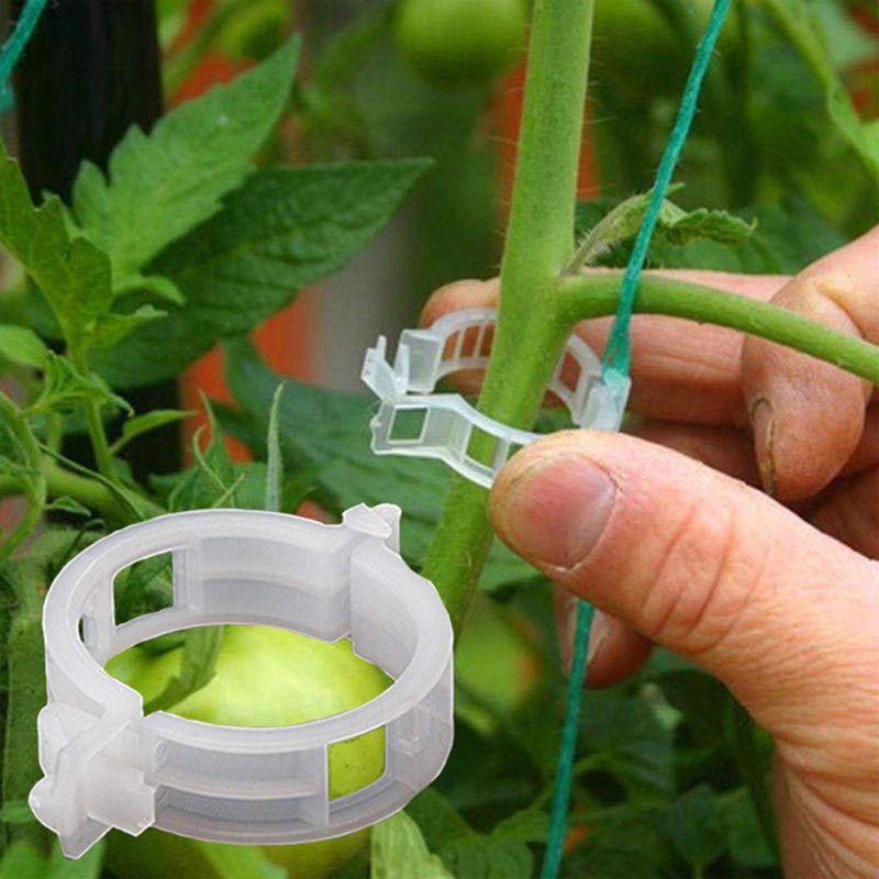 Tomato Clips (No-Tie Solution)