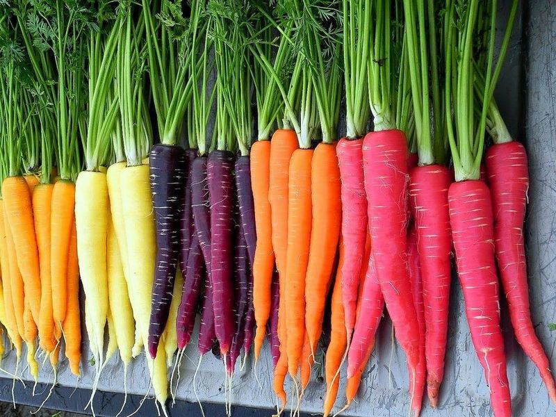 Rainbow Carrots