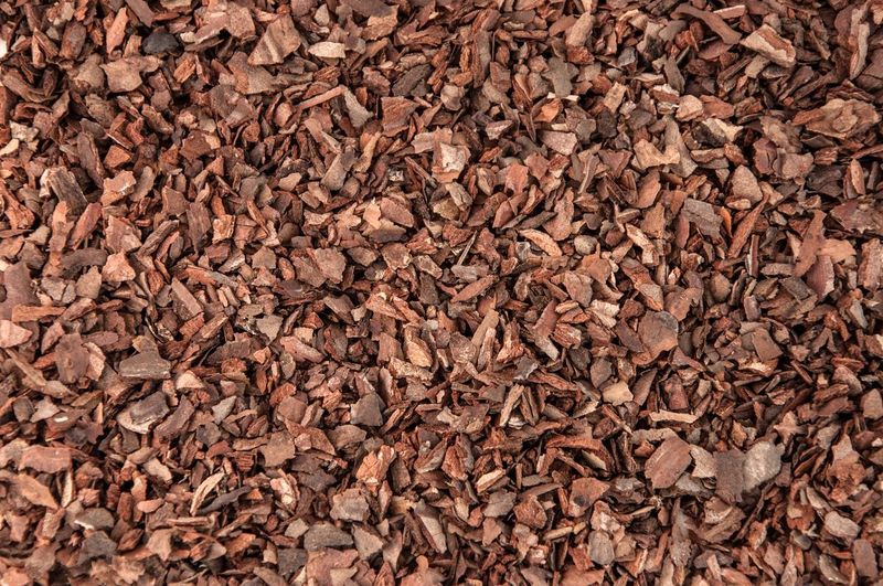 Bark Mulch