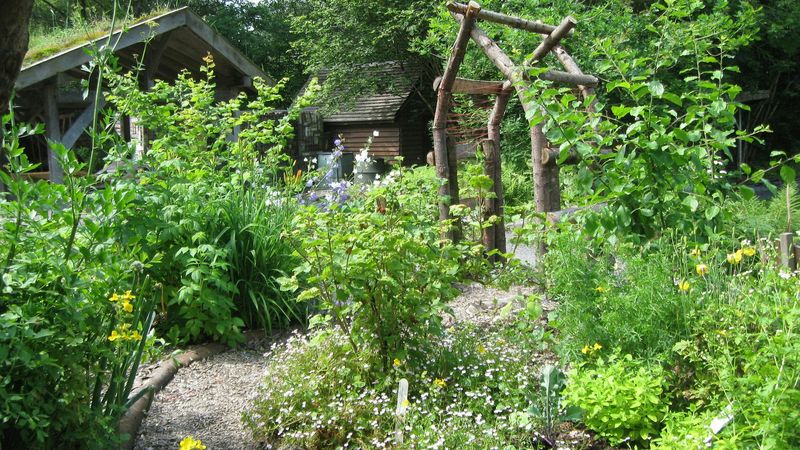 Edible Forest Gardens