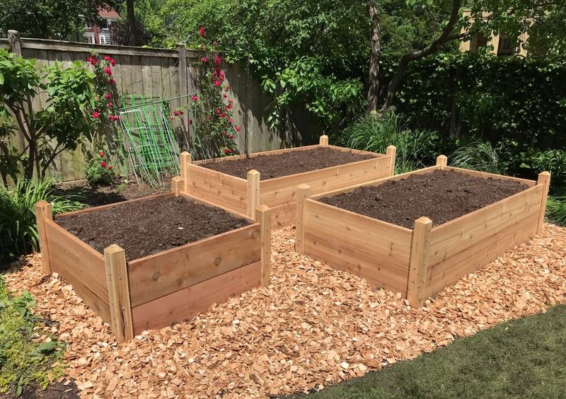 Wood Chip Mulch Layer