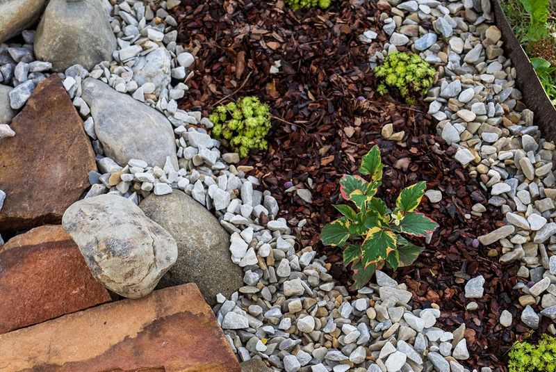 Stone Mulch Heat Traps