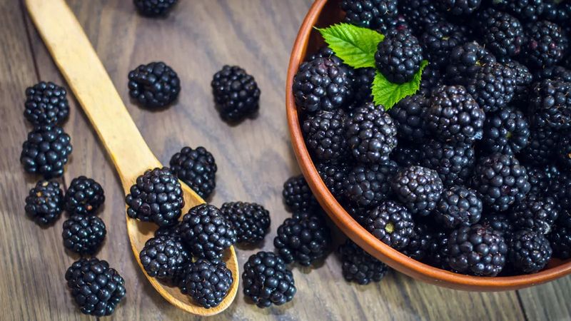 Blackberries