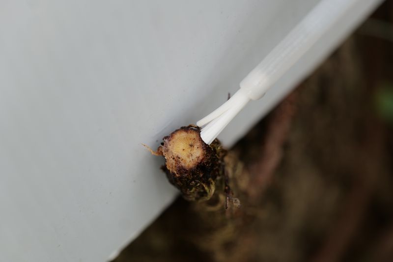 Herbicide Application