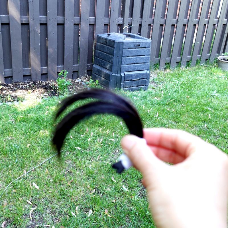 Hair Clippings: Keep Deer and Rodents Away