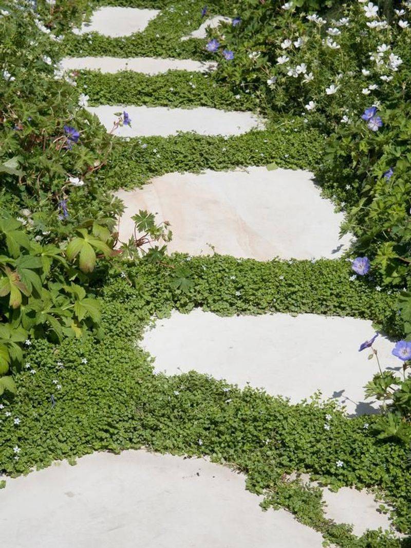 Mind-your-own-business