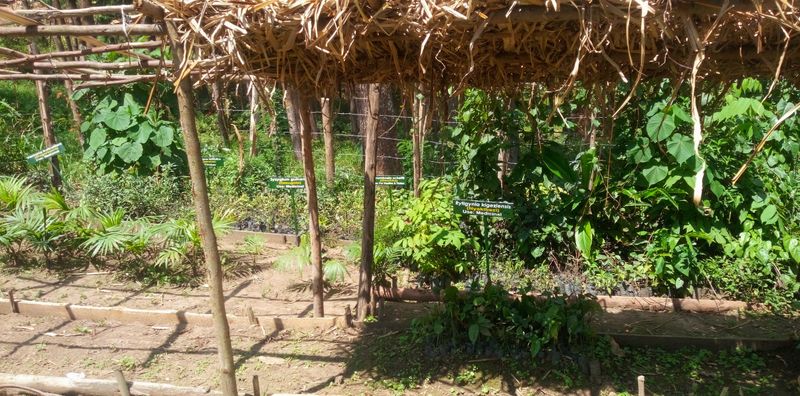 Cultural Heritage Connection