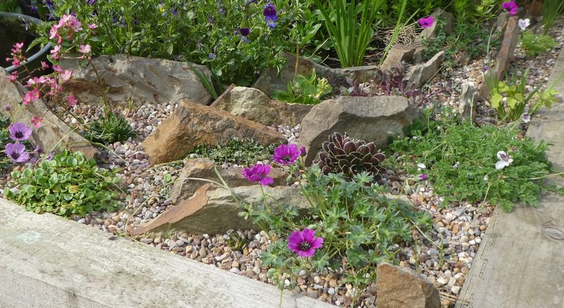 Use Alpine Scree Beds