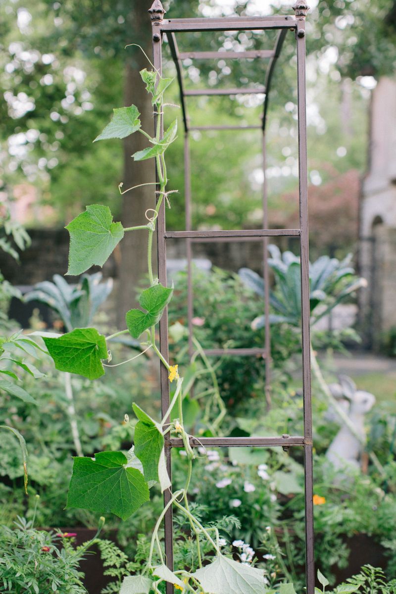 Mistake 6: Lack of Support Structures