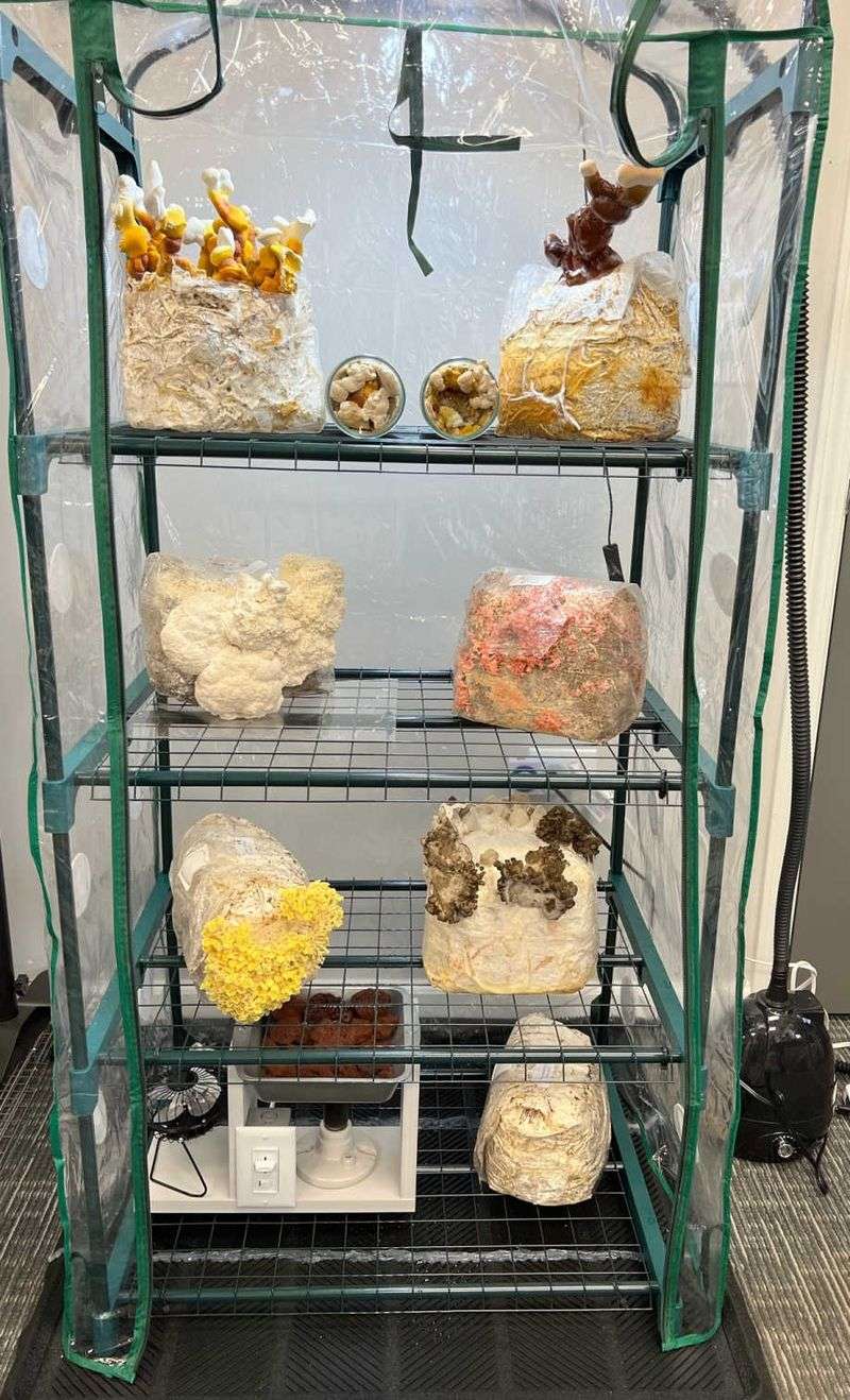 Grow Tent or Martha Greenhouse (For Larger Grows)