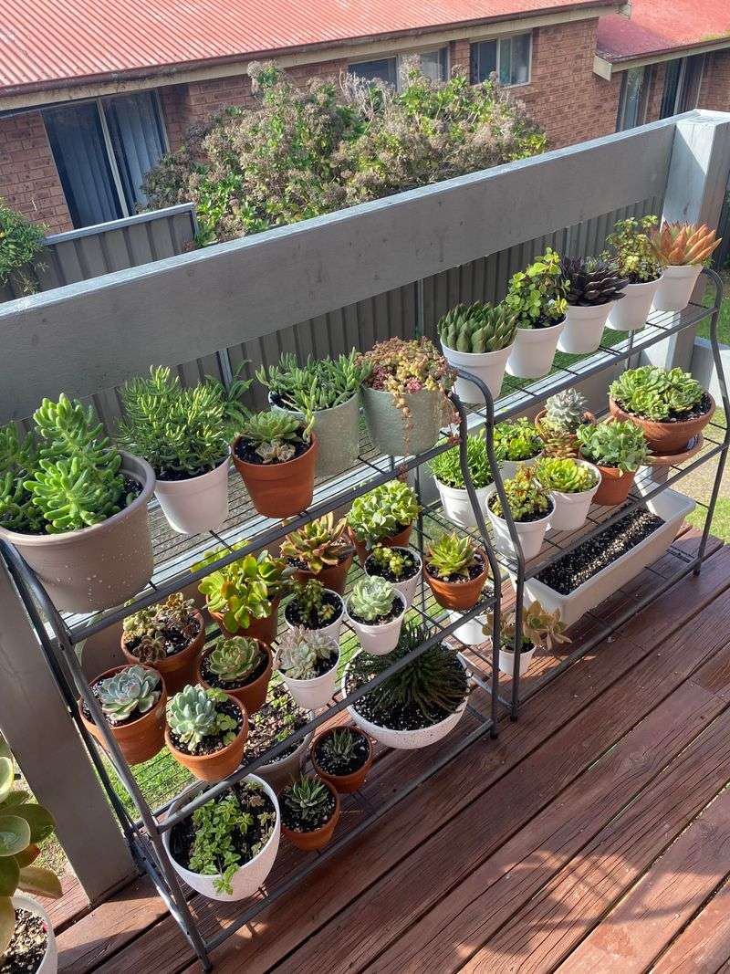 Neglecting Plant Maintenance