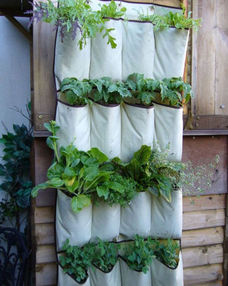 Hanging Shoe Organizer Garden