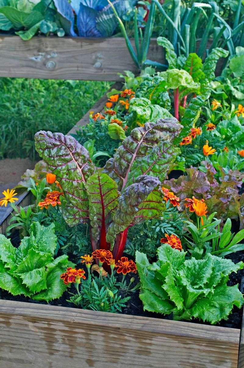 Encourage Pollination