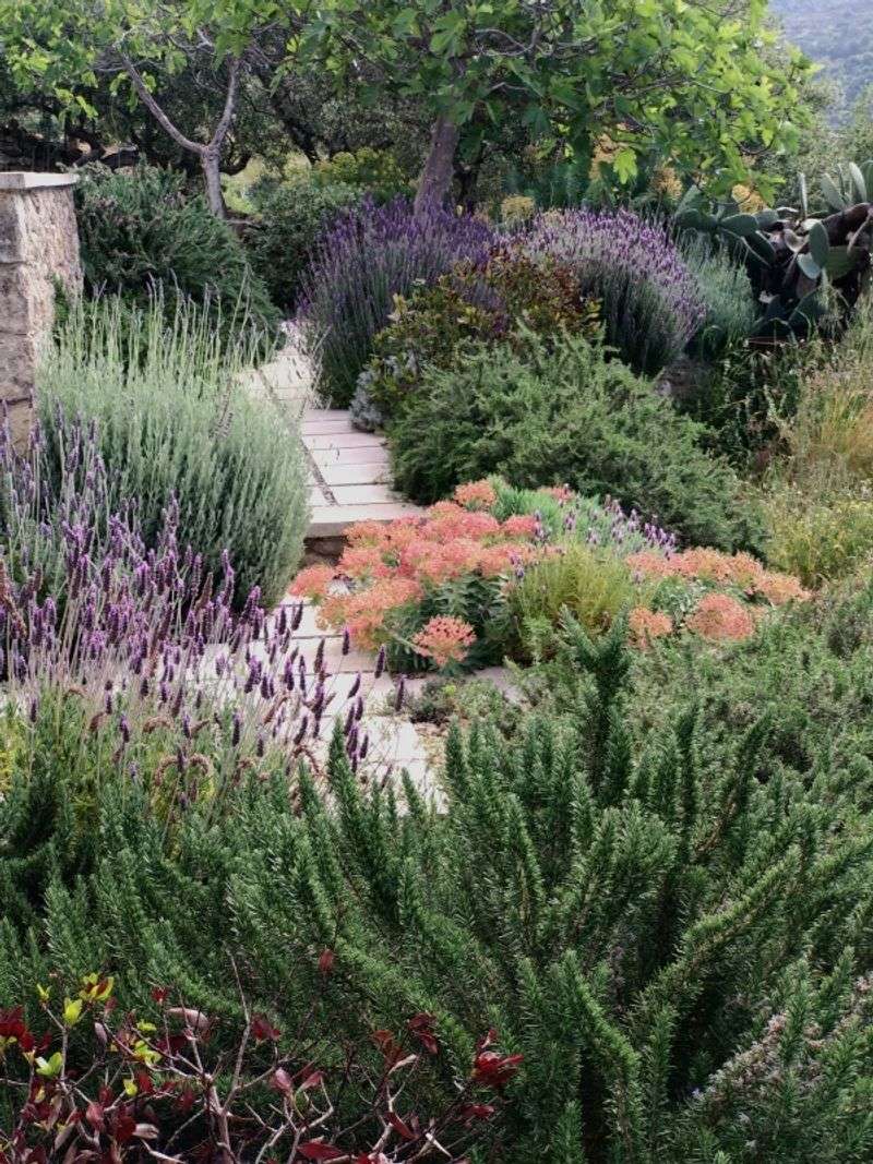 Mediterranean Medley