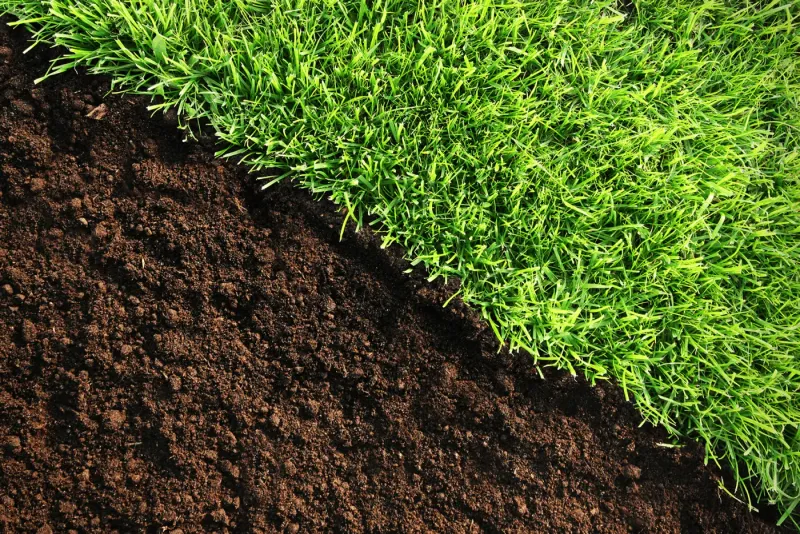 Ignoring Soil Health