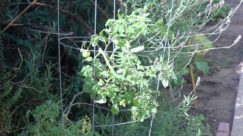 Spacing Considerations