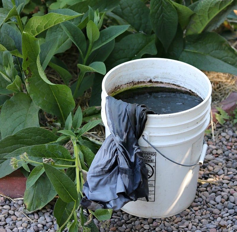 Comfrey Tea Fertilizer