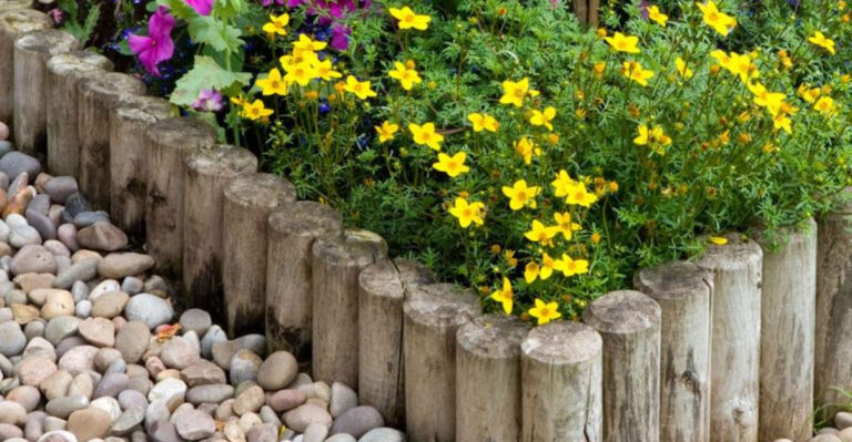 My 2-Year Battle With Grass Invasion — 25 Edging Solutions That Finally Won