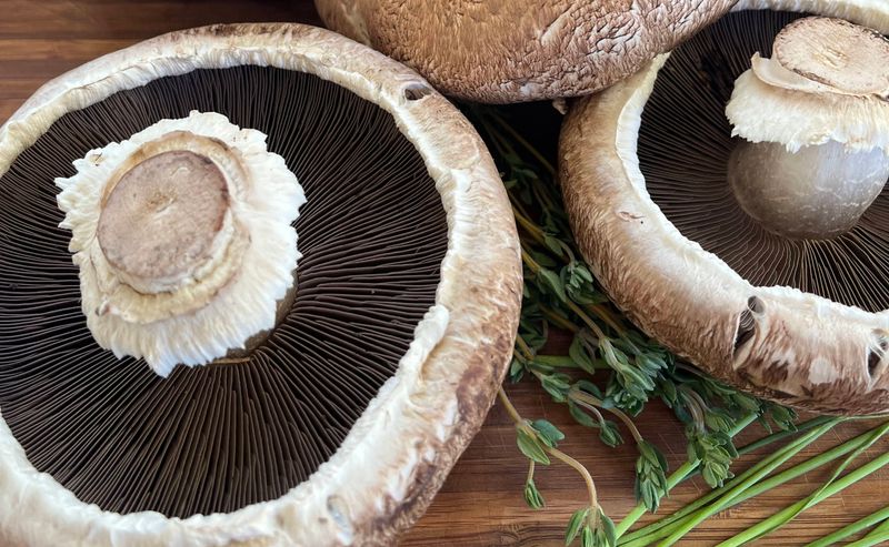 King of the Garden: Portobello