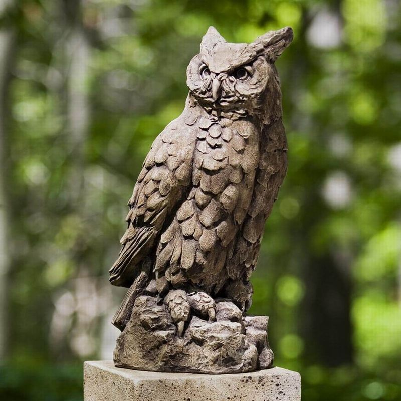 Wise Owl