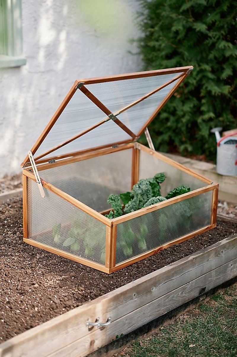 Cold Frames