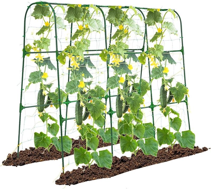 Optimized Space Usage