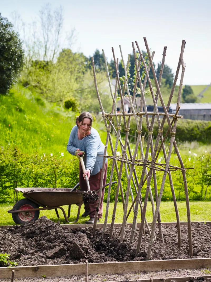 Homemade Plant Stakes