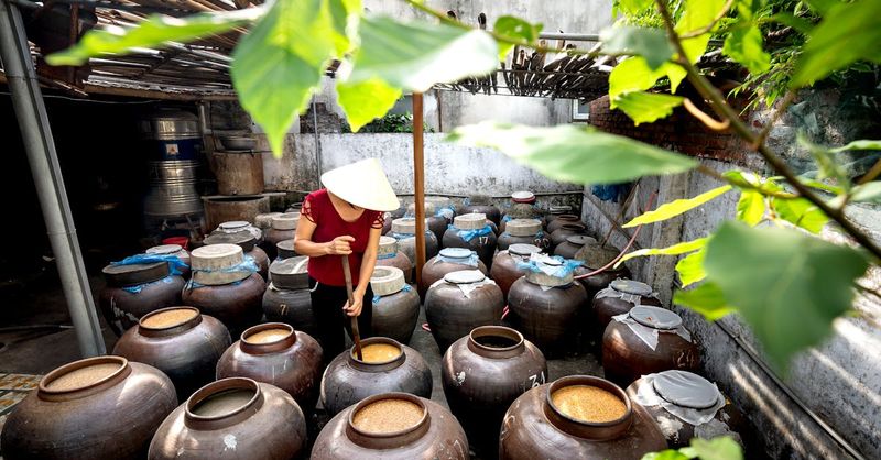 Ancient Seed Fermentation