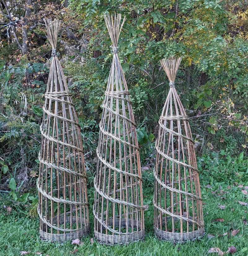 Woven Willow or Dogwood