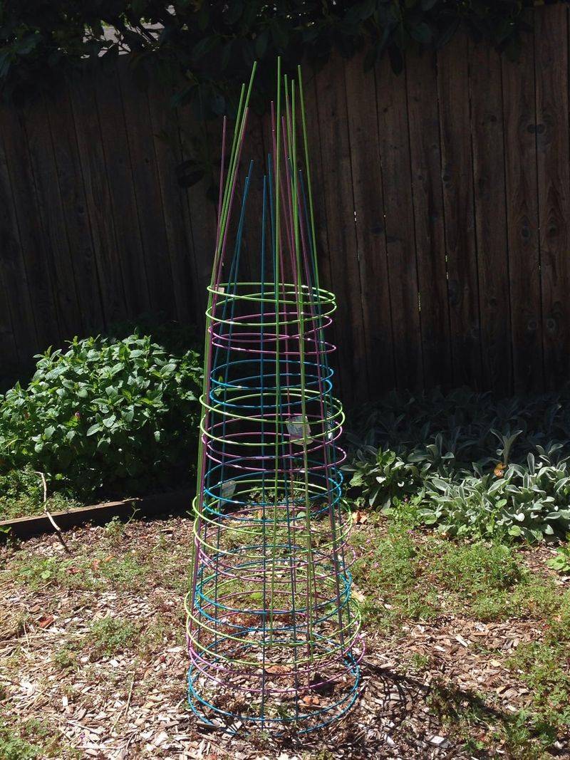 Tomato Cage Upside-Down