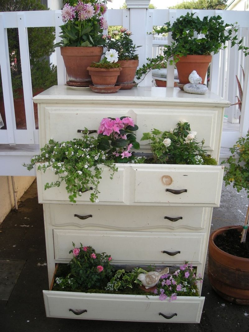 Inside a Dresser Drawer