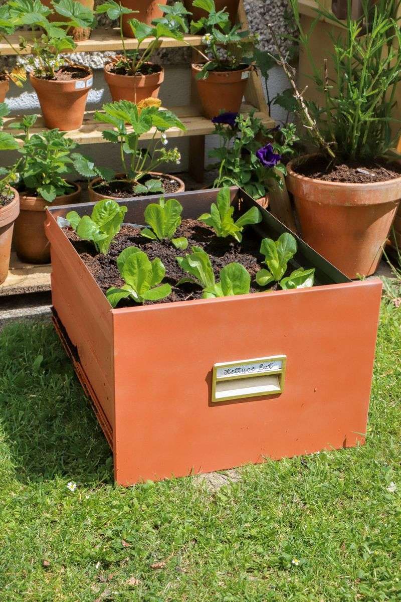 Inside a Filing Cabinet Drawer