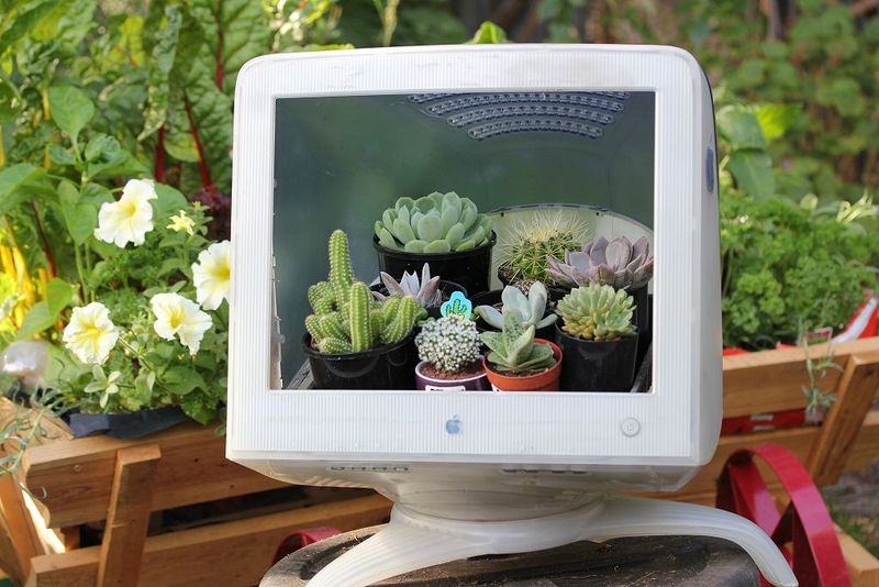 Inside a Computer Monitor (Retro Planter!)