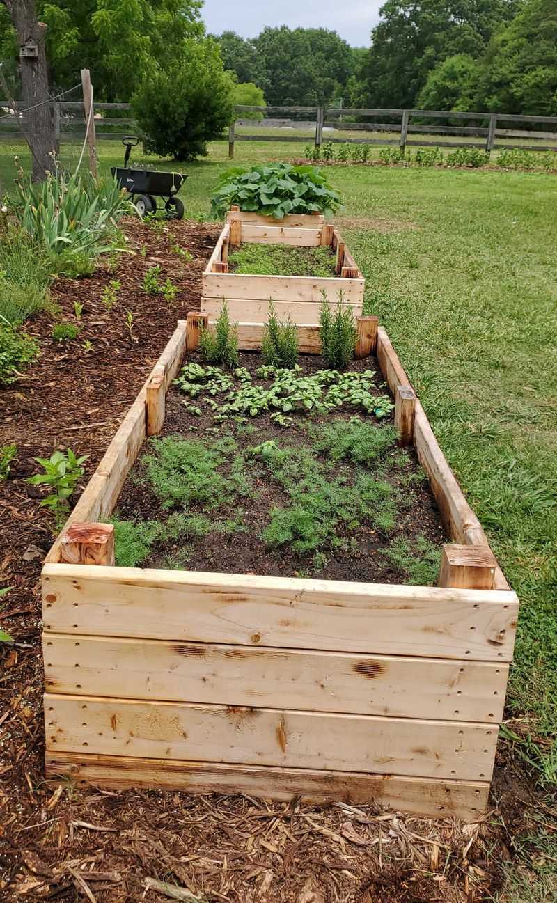 Raised Beds