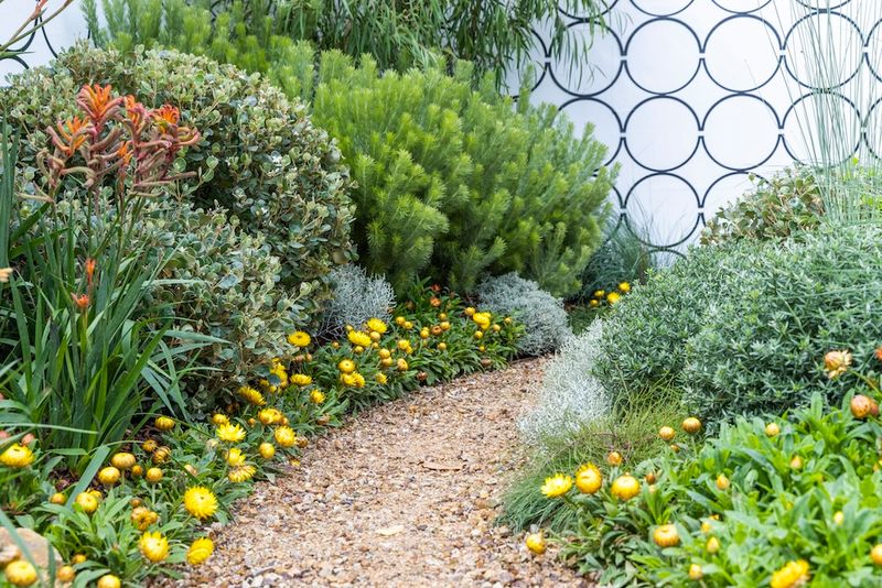 Native Plant Landscaping