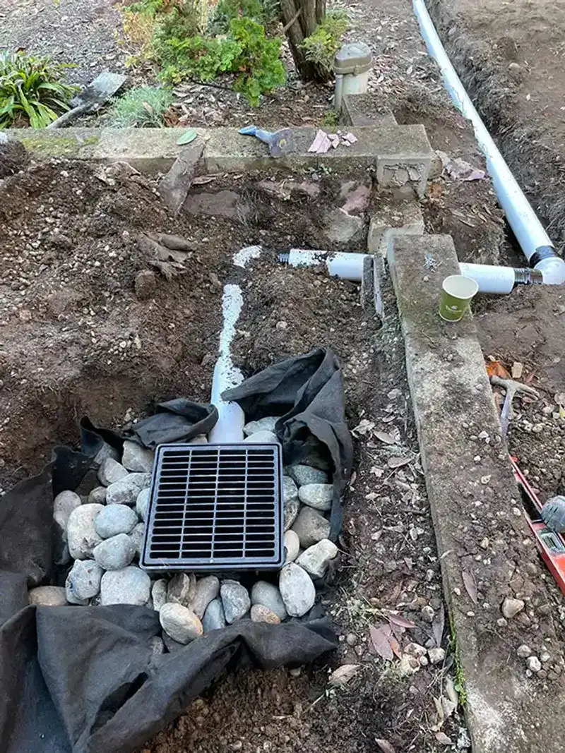 Planting in Poor Drainage