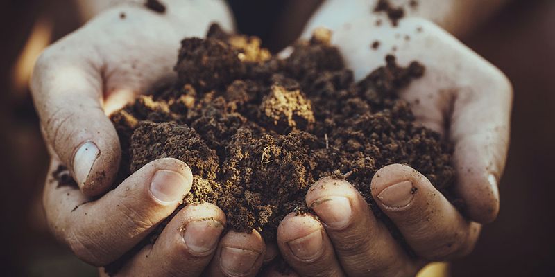 Ignoring Soil Quality