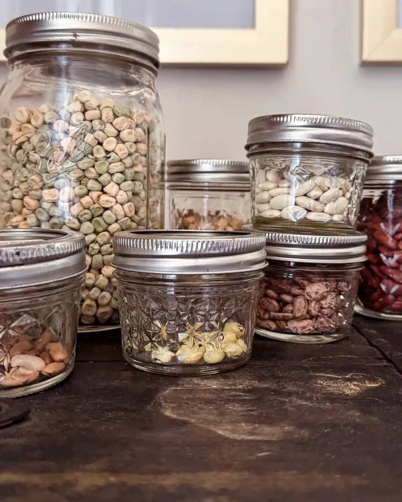 Storing Seeds Improperly