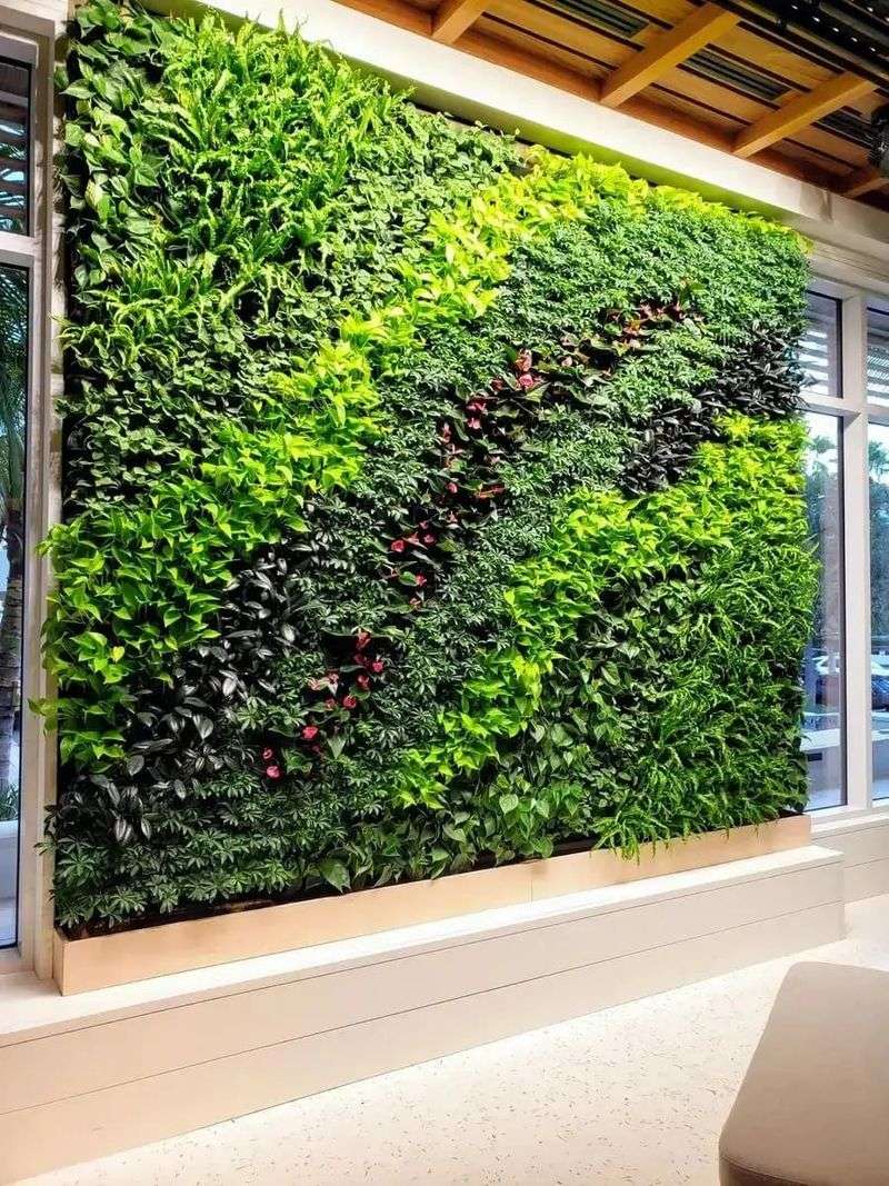 Living Green Walls
