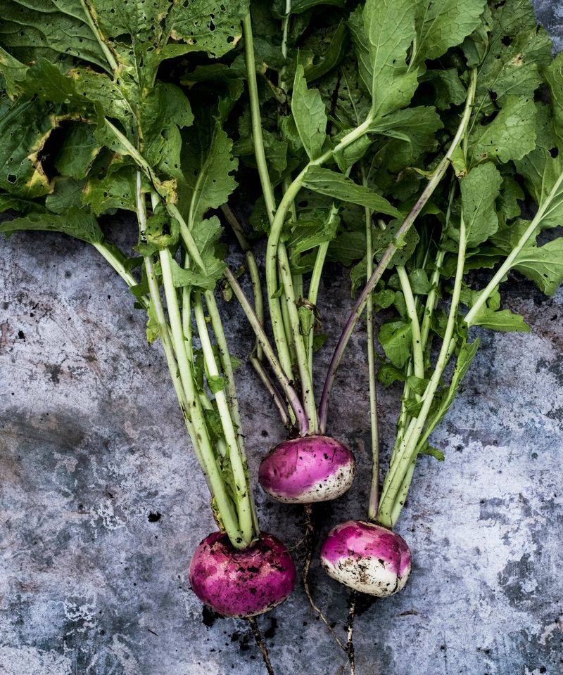Turnips